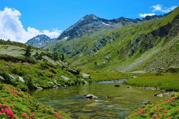 Scopri il Gran Paradiso: il tesoro verde della Valle d’Aosta