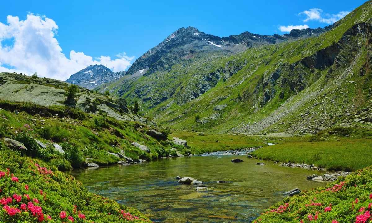 Scopri il Gran Paradiso: il tesoro verde della Valle d’Aosta